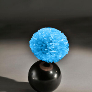 Faux Jumeaux - noir bleu Deuxailes