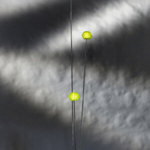Trois-Têtes-3-vert Deux ailes