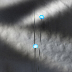 Trois-Tetes-3-bleu Deux ailes